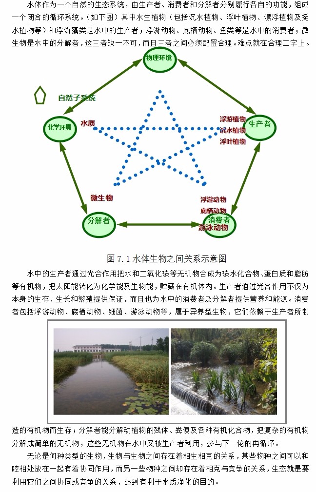 7、河道治理：水生態(tài)技術.jpg
